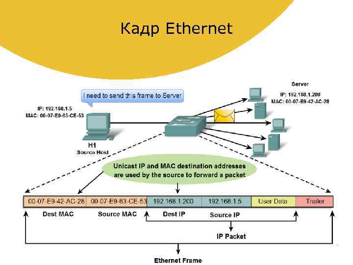 Сетевой кадр. Структура кадра Ethernet II. Структура заголовка кадра Ethernet.. Формат протокола Ethernet. Отличия кадров Ethernet и Ethernet II?.