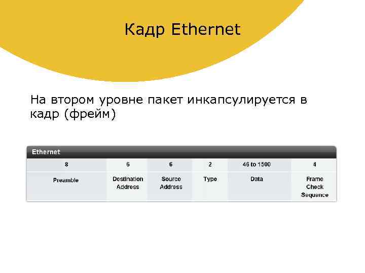 Кадр Ethernet На втором уровне пакет инкапсулируется в кадр (фрейм) 