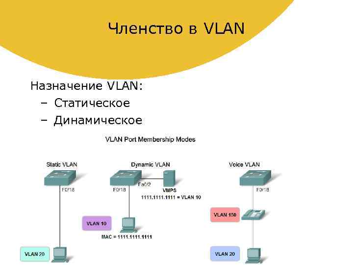 Членство в VLAN Назначение VLAN: – Статическое – Динамическое 