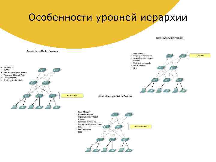 Особенности уровней иерархии 