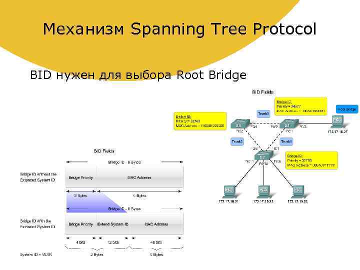 Механизм Spanning Tree Protocol BID нужен для выбора Root Bridge 