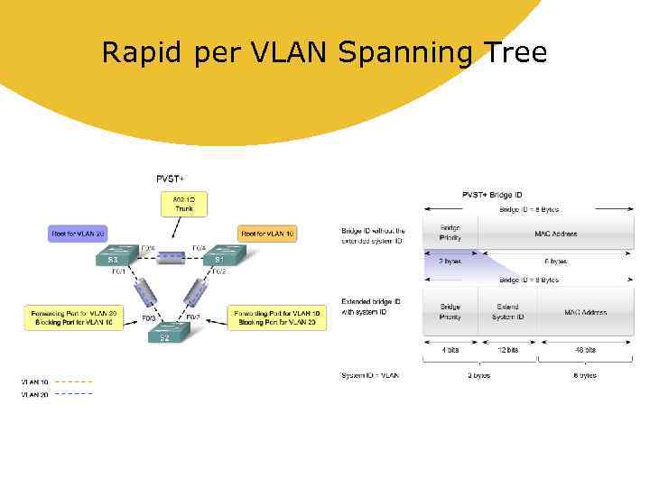 Rapid per VLAN Spanning Tree 