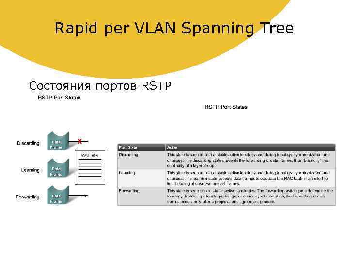 Rapid per VLAN Spanning Tree Состояния портов RSTP 