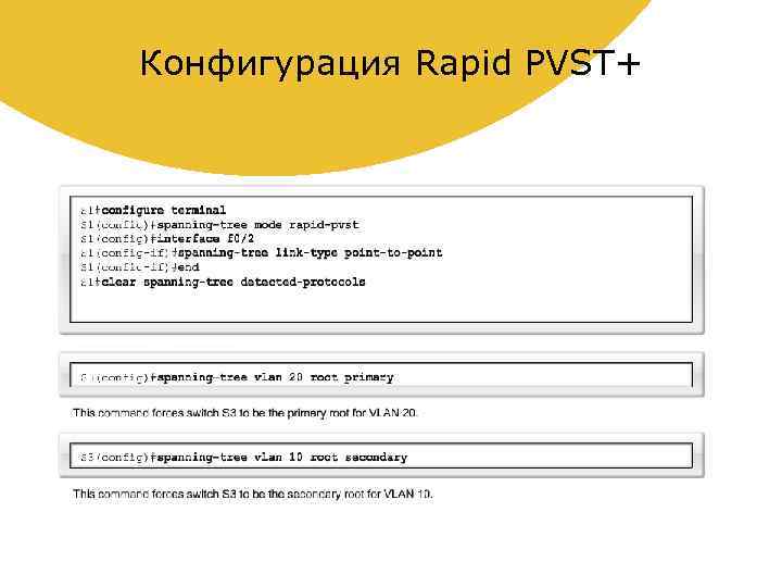 Конфигурация Rapid PVST+ 