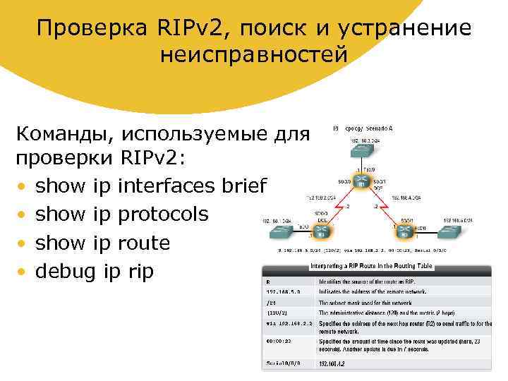Проверка RIPv 2, поиск и устранение неисправностей Команды, используемые для проверки RIPv 2: •