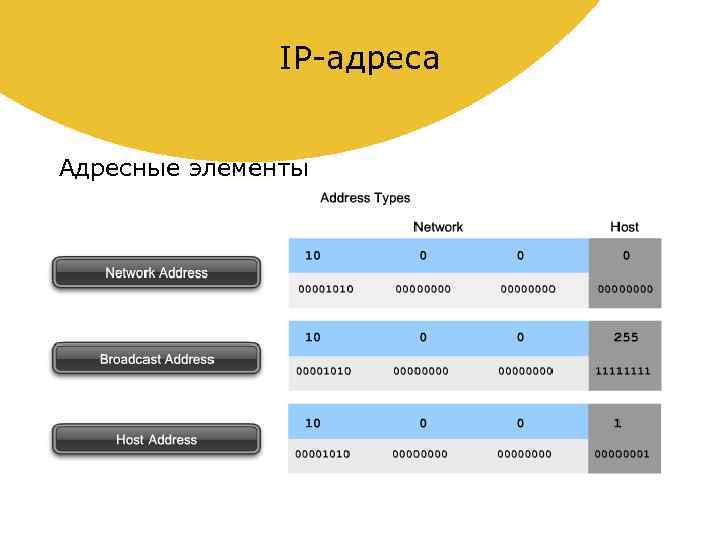 IP-адреса Адресные элементы 