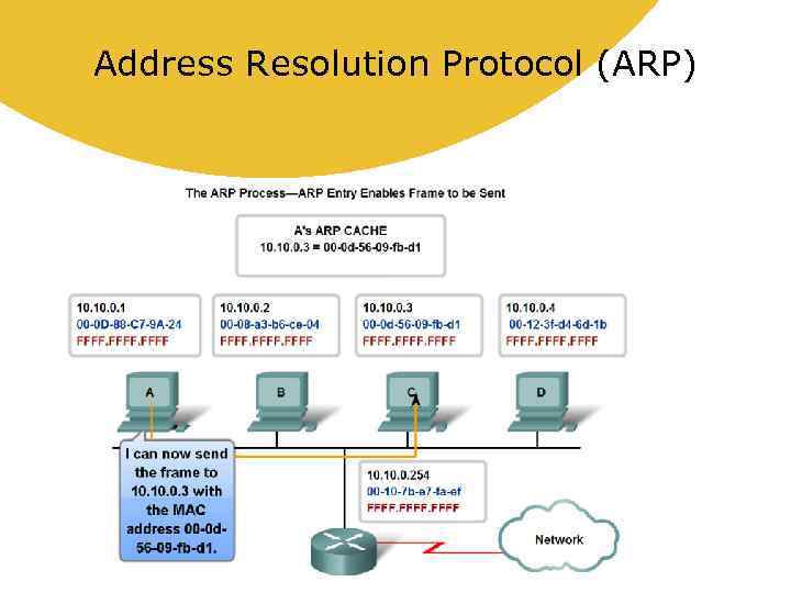 Arp icmp