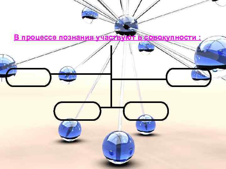 В процессе познания участвуют в совокупности : 