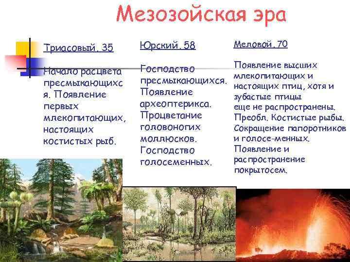 Мезозойская эра Триасовый, 35 Юрский, 58 Меловой, 70 Начало расцвета пресмыкающихс я. Появление первых