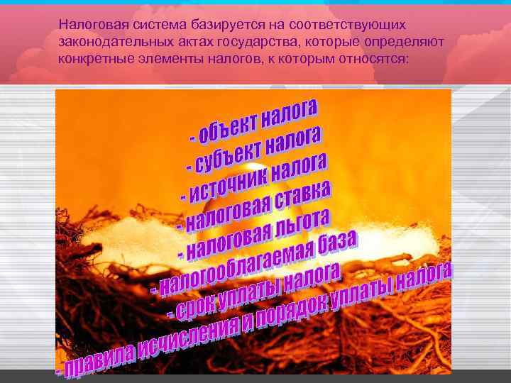 Налоговая система базируется на соответствующих законодательных актах государства, которые определяют конкретные элементы налогов, к