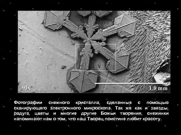 Фотографии снежного кристалла, сделанные с помощью сканирующего электронного микроскопа. Так же как и звезды,