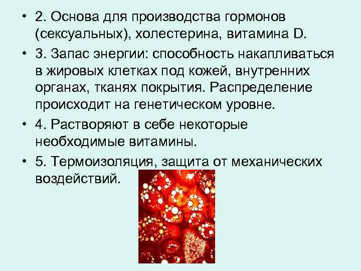  • 2. Основа для производства гормонов (сексуальных), холестерина, витамина D. • 3. Запас