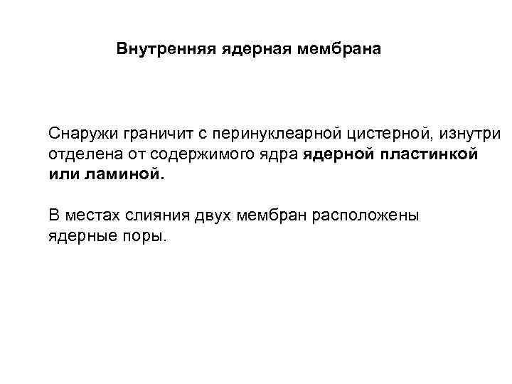 Внутренняя ядерная мембрана Снаружи граничит с перинуклеарной цистерной, изнутри отделена от содержимого ядра ядерной
