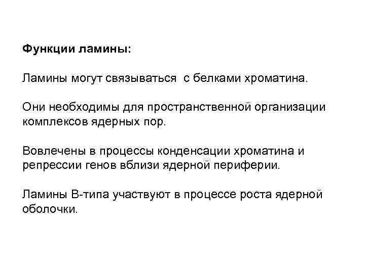 Функции ламины: Ламины могут связываться с белками хроматина. Они необходимы для пространственной организации комплексов