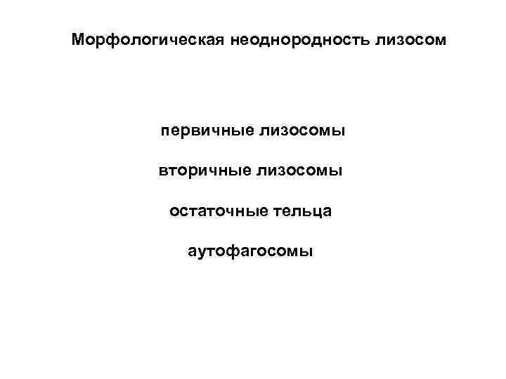 Морфологическая неоднородность лизосом первичные лизосомы вторичные лизосомы остаточные тельца аутофагосомы 