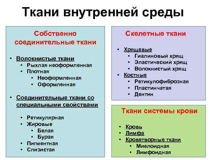 Ткани внутренней среды Собственно соединительные ткани • Волокнистые ткани • Рыхлая неоформленная • Плотная