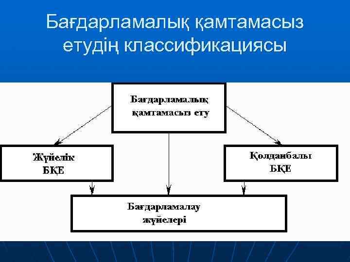 Бағдарламалық қамтамасыз етудің классификациясы 