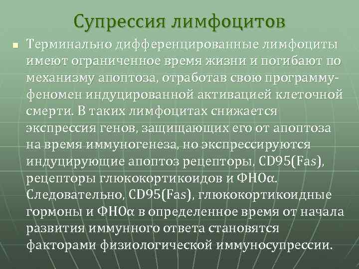 Супрессия лимфоцитов n Терминально дифференцированные лимфоциты имеют ограниченное время жизни и погибают по механизму