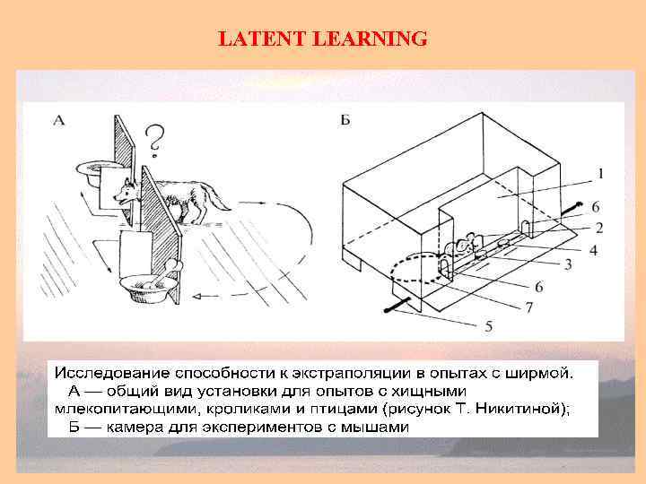 LATENT LEARNING 