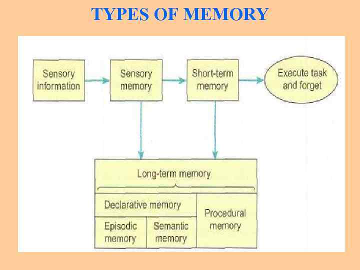 TYPES OF MEMORY 