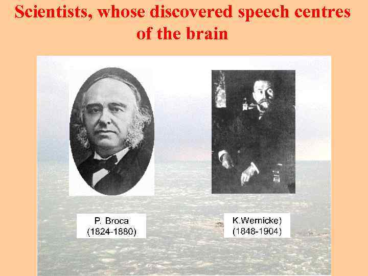 Scientists, whose discovered speech centres of the brain 