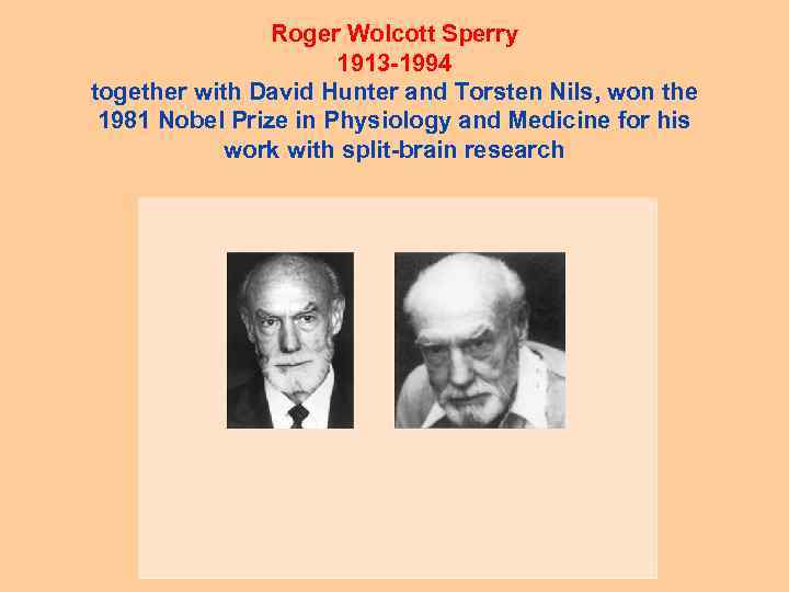 Roger Wolcott Sperry 1913 -1994 together with David Hunter and Torsten Nils, won the
