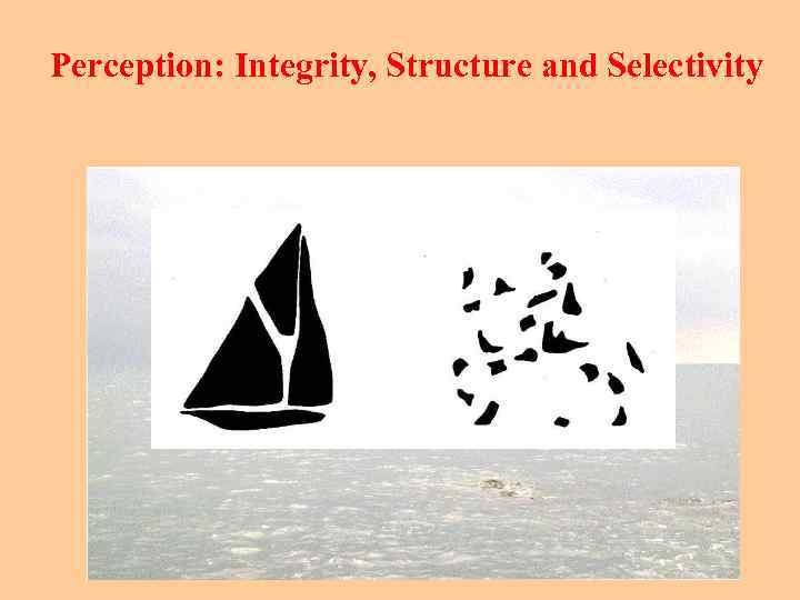 Perception: Integrity, Structure and Selectivity 