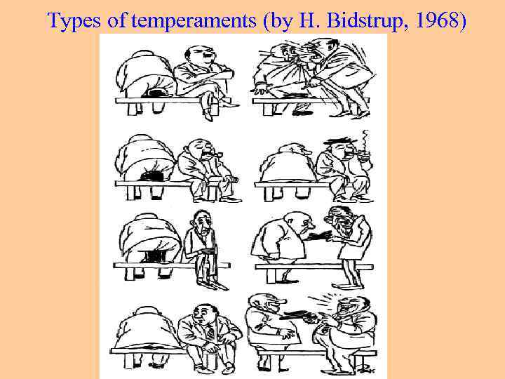 Тypes of temperaments (by H. Bidstrup, 1968) 