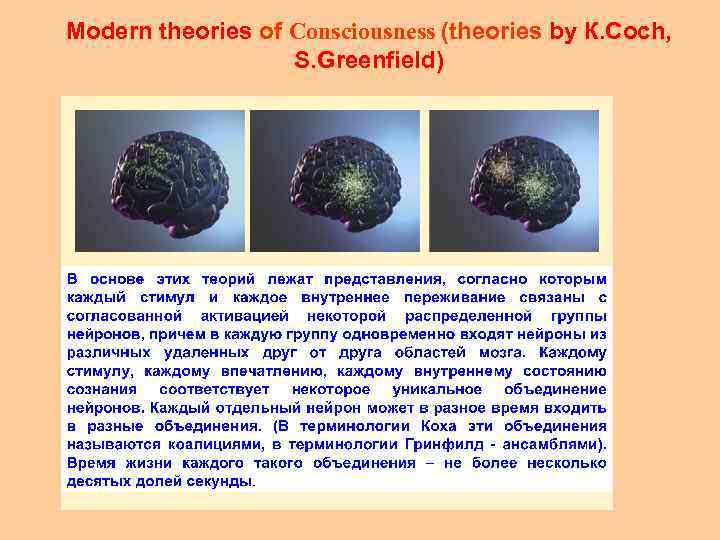 Modern theories of Consciousness (theories by К. Coch, S. Greenfield) 