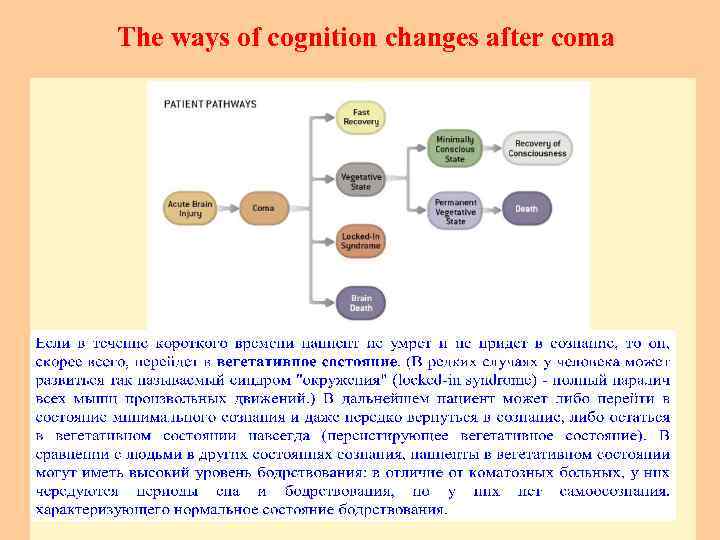 The ways of cognition changes after coma 