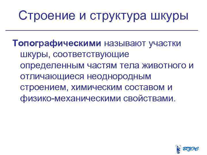  Cтроение и структура шкуры Топографическими называют участки шкуры, соответствующие определенным частям тела животного