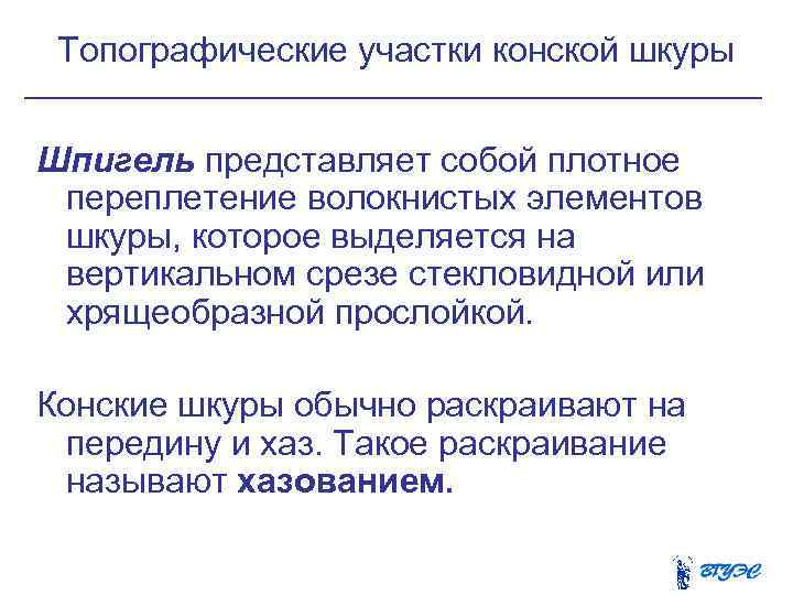  Топографические участки конской шкуры Шпигель представляет собой плотное переплетение волокнистых элементов шкуры, которое