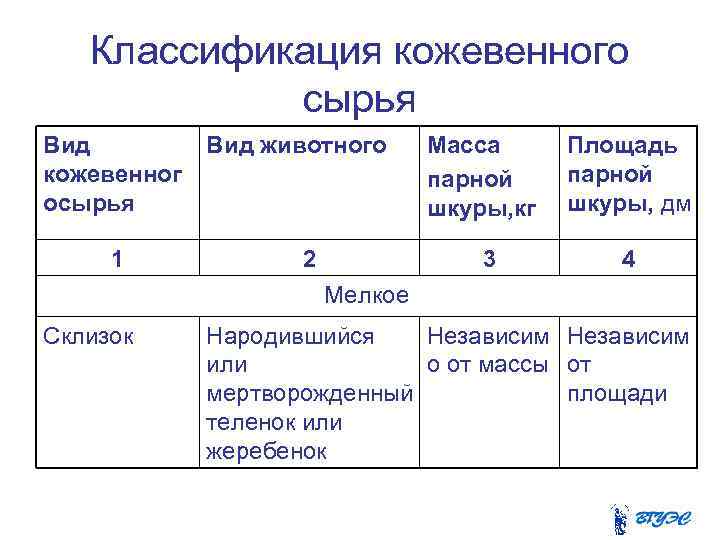  Классификация кожевенного сырья Вид животного Масса Площадь кожевенног парной осырья шкуры, кг шкуры,