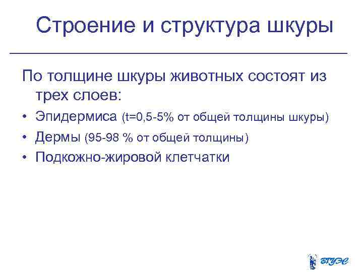  Cтроение и структура шкуры По толщине шкуры животных состоят из трех слоев: •