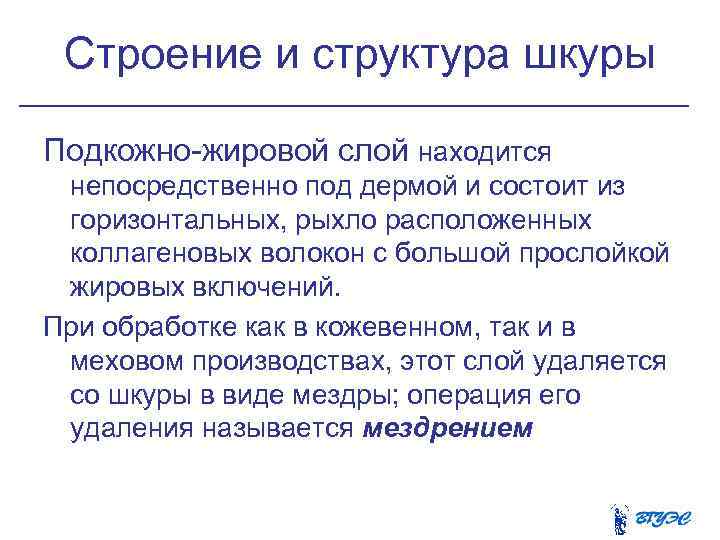  Cтроение и структура шкуры Подкожно жировой слой находится непосредственно под дермой и состоит