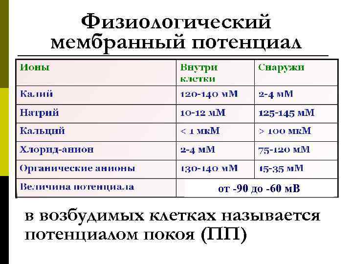  Физиологический мембранный потенциал от -90 до -60 м. В в возбудимых клетках называется