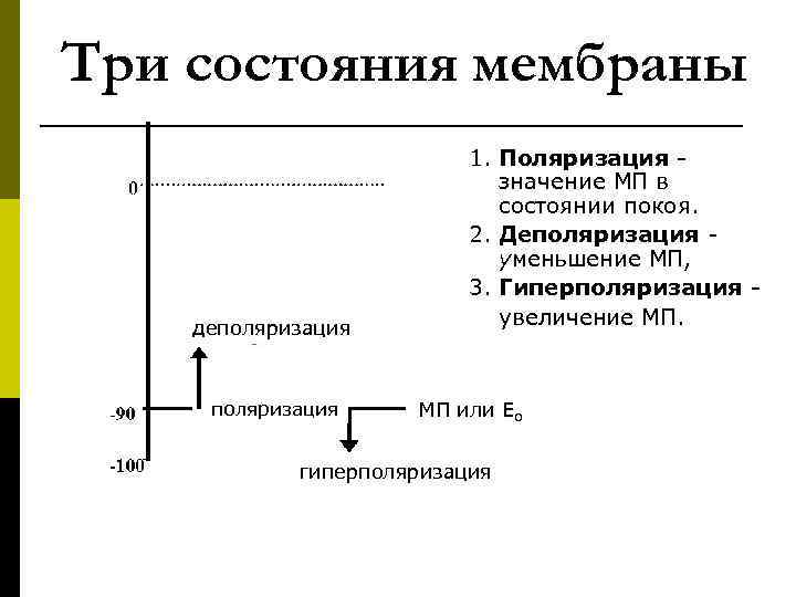 Три состояния мембраны 1. Поляризация - значение МП в состоянии покоя. 2. Деполяризация -