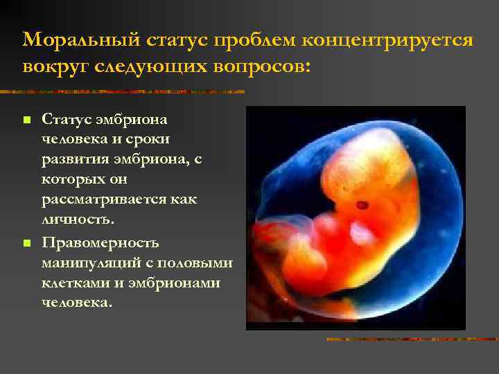Моральный статус проблем концентрируется вокруг следующих вопросов: n n Статус эмбриона человека и сроки
