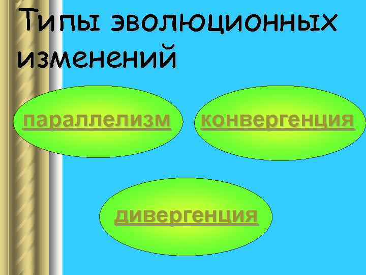 Типы эволюционных изменений параллелизм конвергенция дивергенция 
