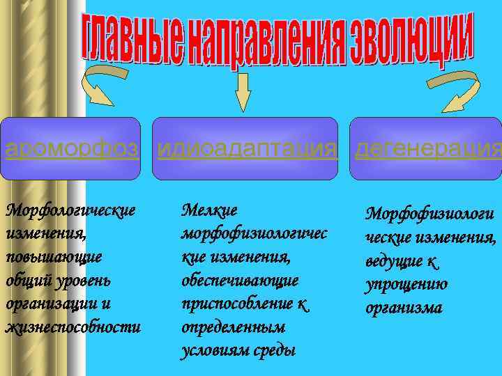 ароморфоз идиоадаптация дегенерация Морфологические изменения, повышающие общий уровень организации и жизнеспособности Мелкие морфофизиологичес кие