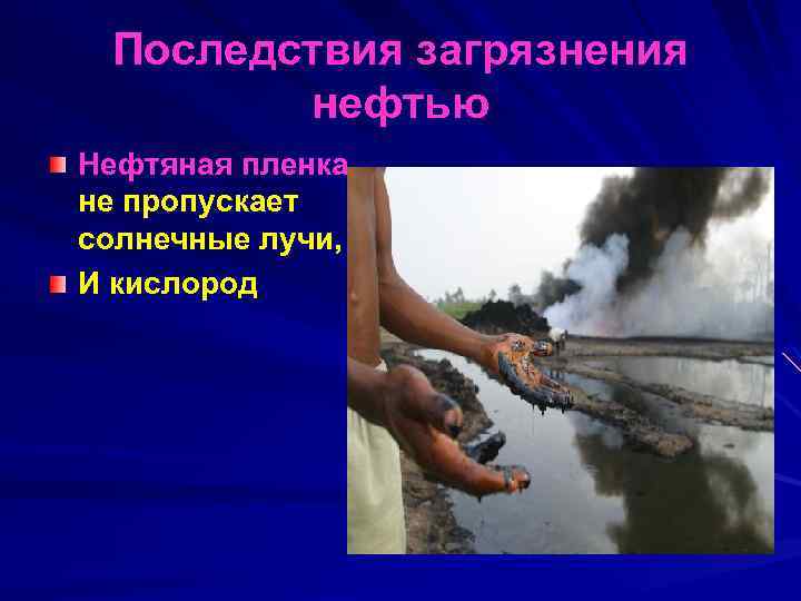 Последствия загрязнения нефтью Нефтяная пленка не пропускает солнечные лучи, И кислород 