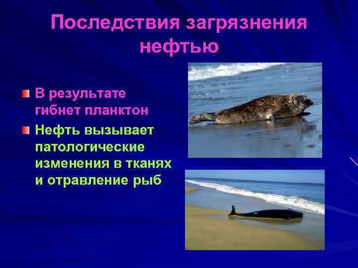 Последствия загрязнения нефтью В результате гибнет планктон Нефть вызывает патологические изменения в тканях и