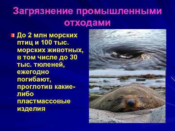 Загрязнение промышленными отходами До 2 млн морских птиц и 100 тыс. морских животных, в