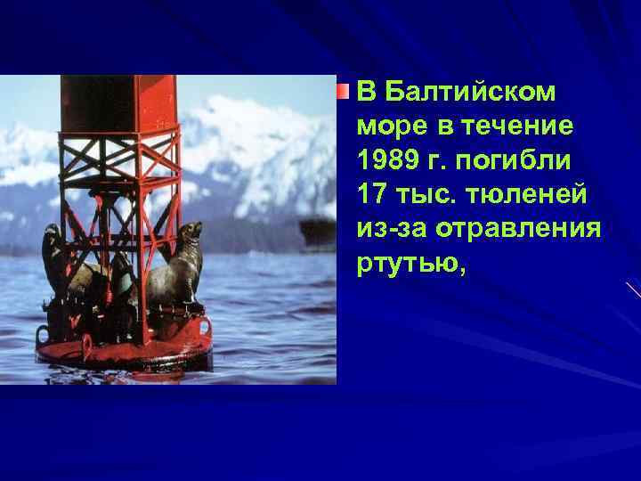 В Балтийском море в течение 1989 г. погибли 17 тыс. тюленей из за отравления