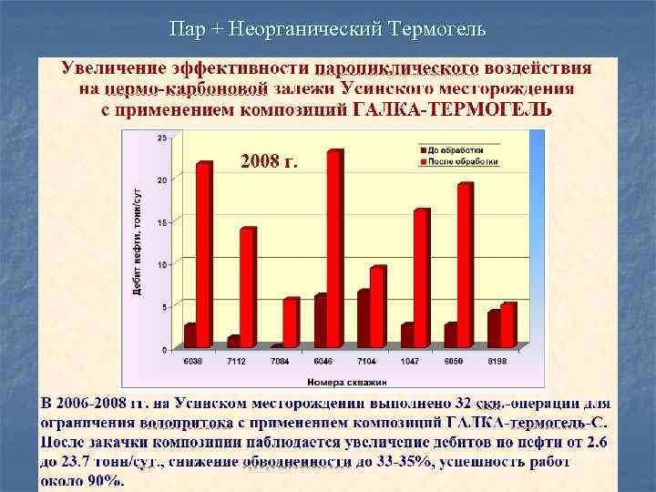 Пар + Неорганический Термогель 