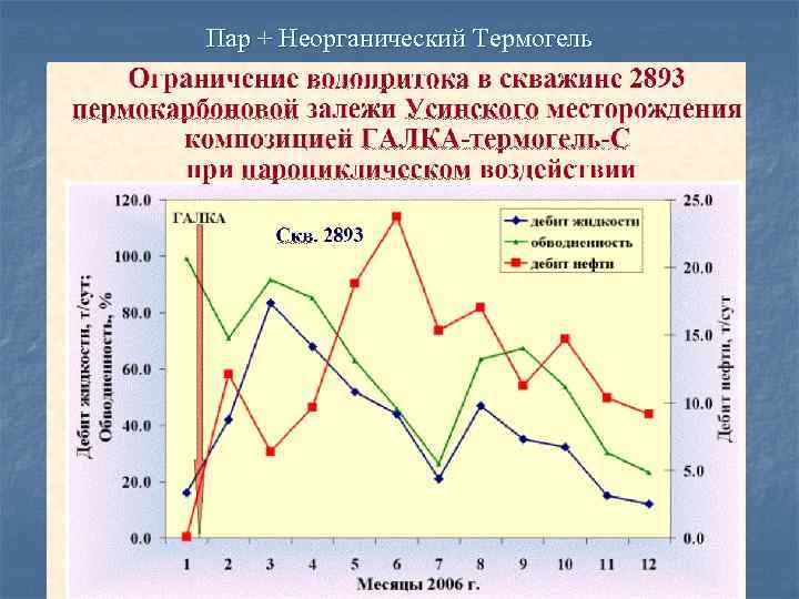 Пар + Неорганический Термогель 