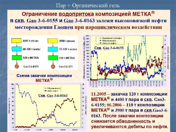 Пар + Органический гель 