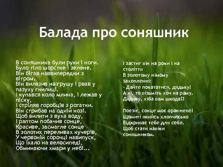 Балада про соняшник * В соняшника були руки і ноги. Було тіло шорстке і
