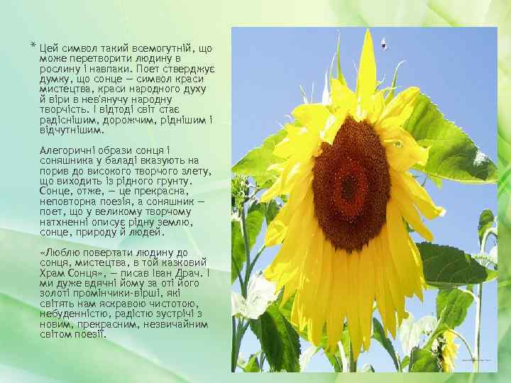 * Цей символ такий всемогутній, що може перетворити людину в рослину і навпаки. Поет