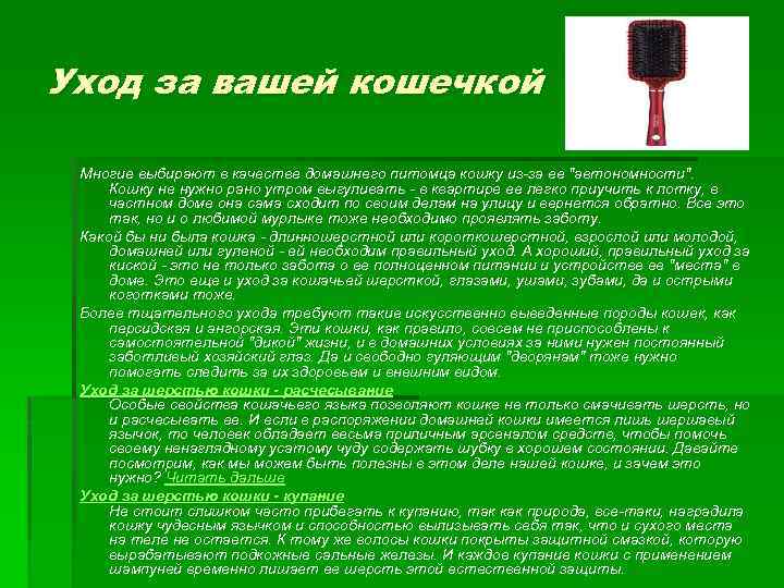 Уход за вашей кошечкой Многие выбирают в качестве домашнего питомца кошку из-за ее 